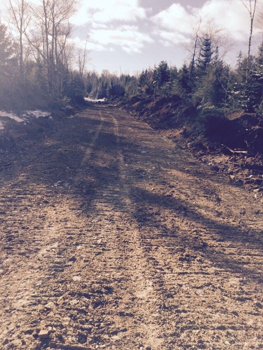 WentworthHalbinselStrasse (6)